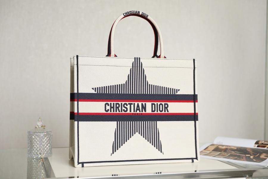 DIOR BOOK TOTE DIORALPS