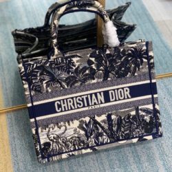 BOOK TOTE PEQUEÑO DIOR