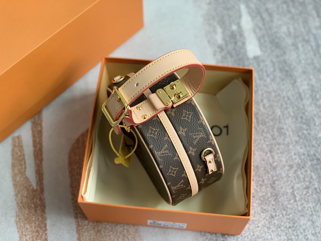PETITE BOITE CHAPEAU LOUIS VUITTON - Imagen 9