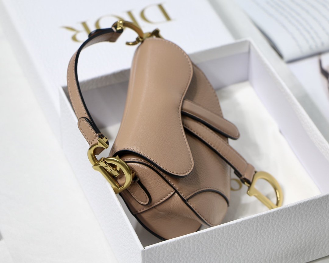 MINIBOLSO SADDLE DIOR - Imagen 2