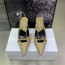 Zapato de Salón Dior