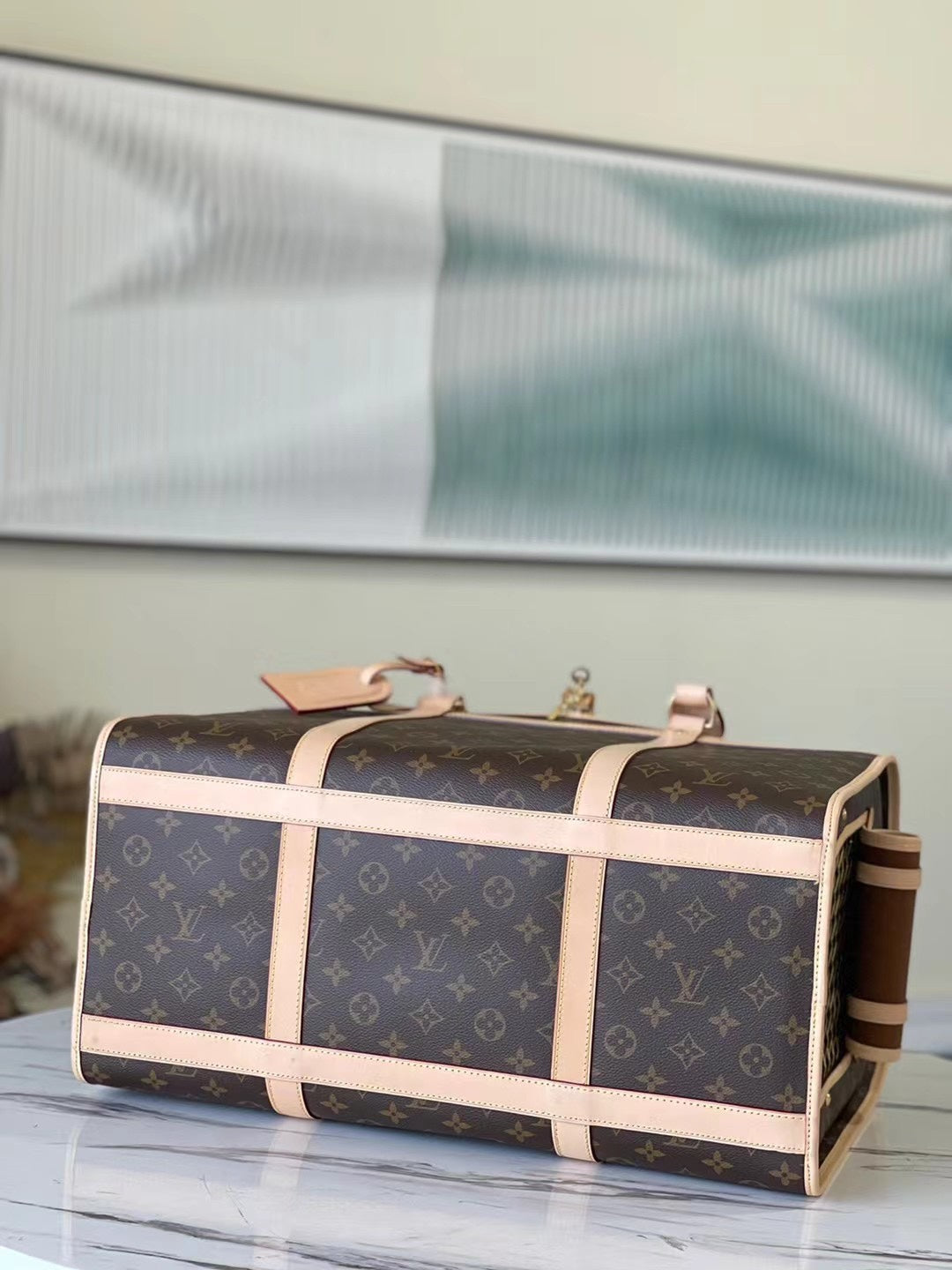BOLSA PARA PERROS 45 Louis Vuiton - Imagen 4