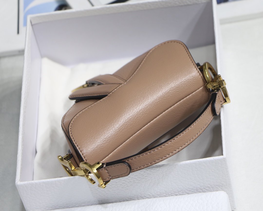 MINIBOLSO SADDLE DIOR - Imagen 9