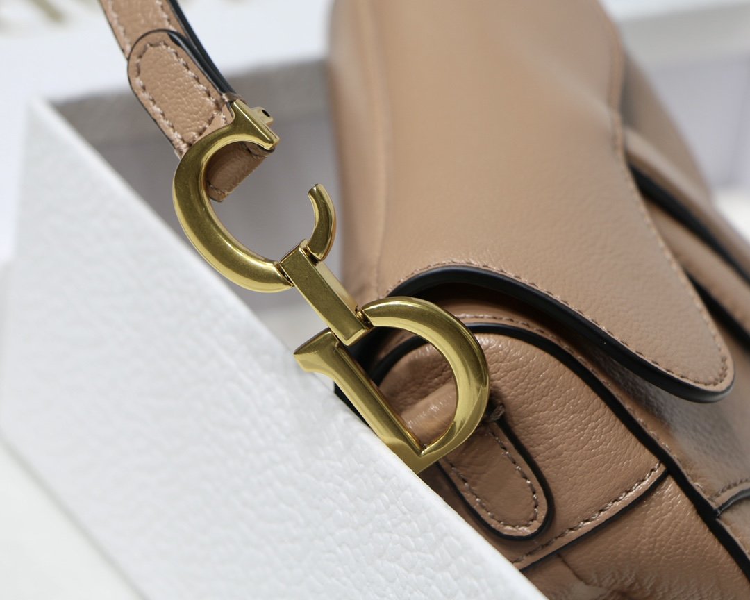 MINIBOLSO SADDLE DIOR - Imagen 5