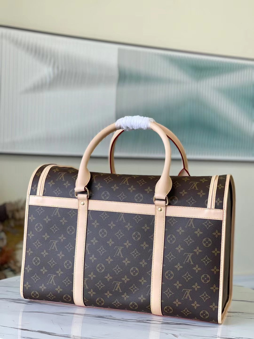 BOLSA PARA PERROS 45 Louis Vuiton - Imagen 9