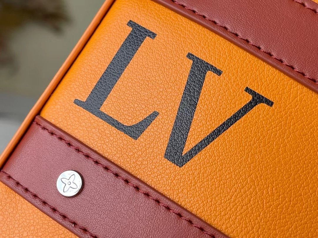 BOLSO HANDLE TRUNK Louis Vuitton - Imagen 9