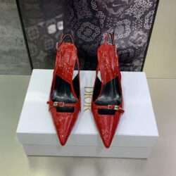 Zapato de Salón Dior