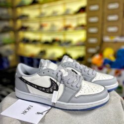 Zapatillas Air Jordan 1 Low x Dior