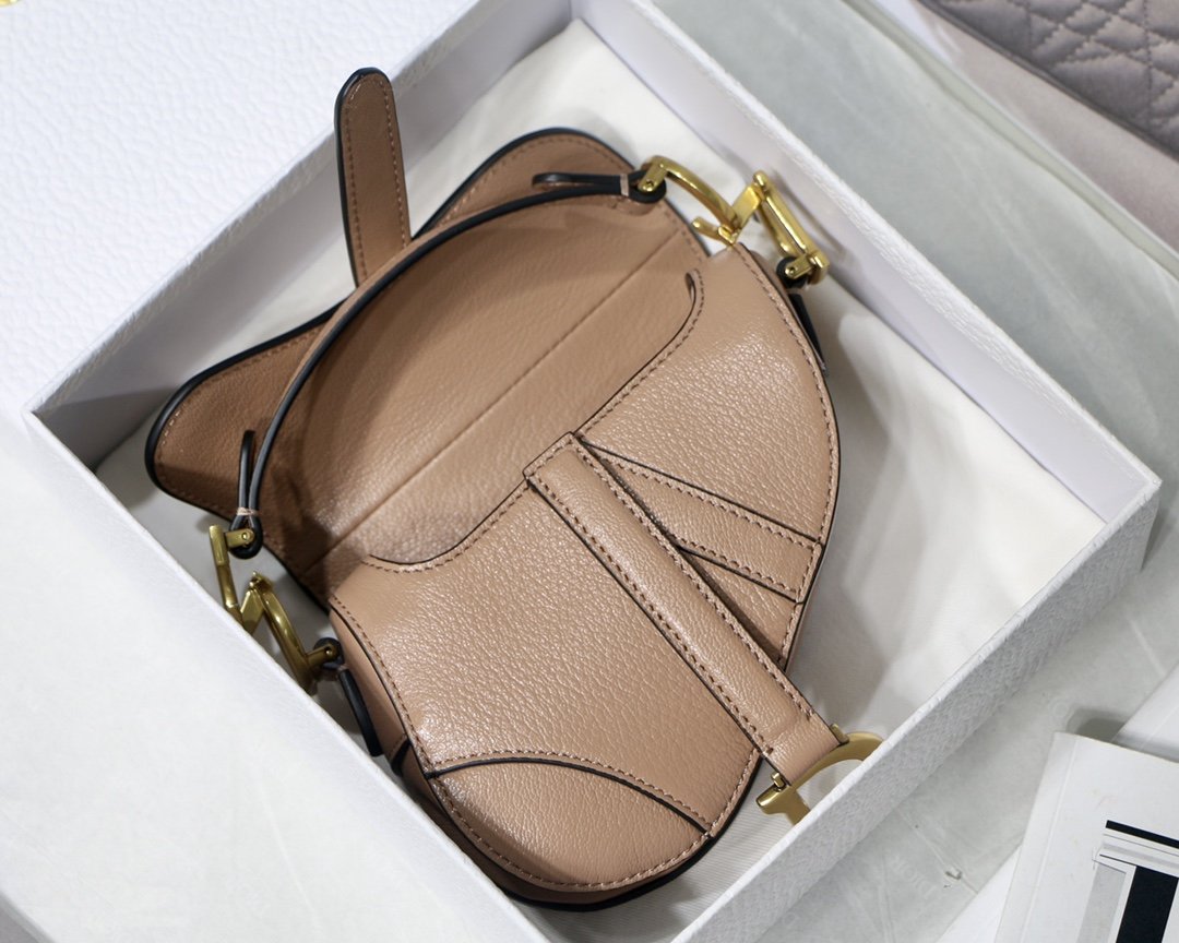 MINIBOLSO SADDLE DIOR - Imagen 8