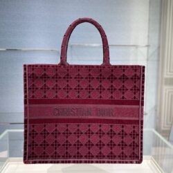 BOOK TOTE DIOR