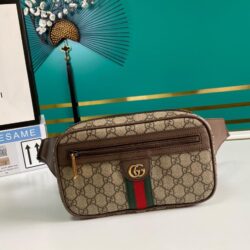 Riñonera Ophidia con GG GUCCI