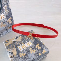 Cinturón con motivo DIOR