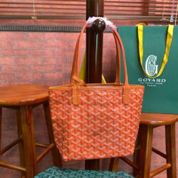 Bolso Isabelle mini GOYARD