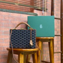 Bolso Grand hotel trunk GOYARD