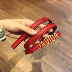 Cinturón D-Fence DIOR