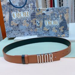 Cinturón D-Fence DIOR