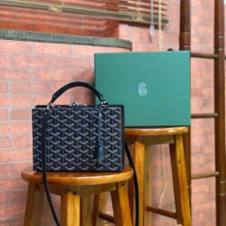 Bolso Grand hotel trunk GOYARD