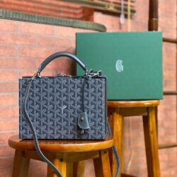 Bolso Grand hotel trunk GOYARD