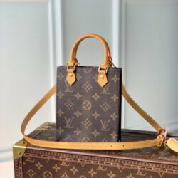 Bolso Petit Sac Plat LOUIS VUITTON