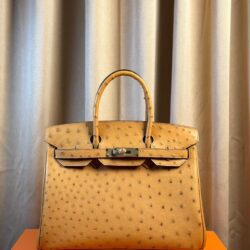 Bolso Birkin HERMES