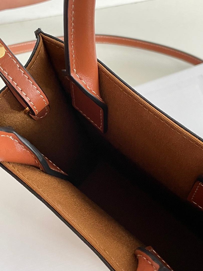 BOLSO VERTICAL MINI CELINE - Imagen 7