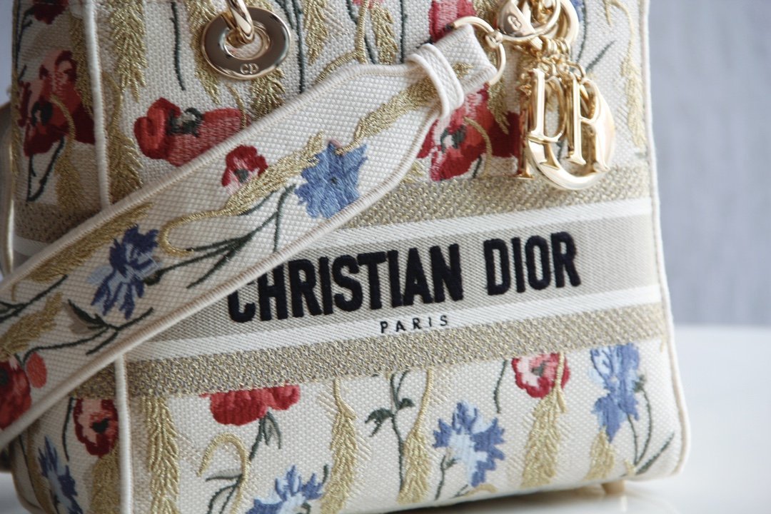 BOLSO MEDIANO LADY D-LITE DIOR - Imagen 4