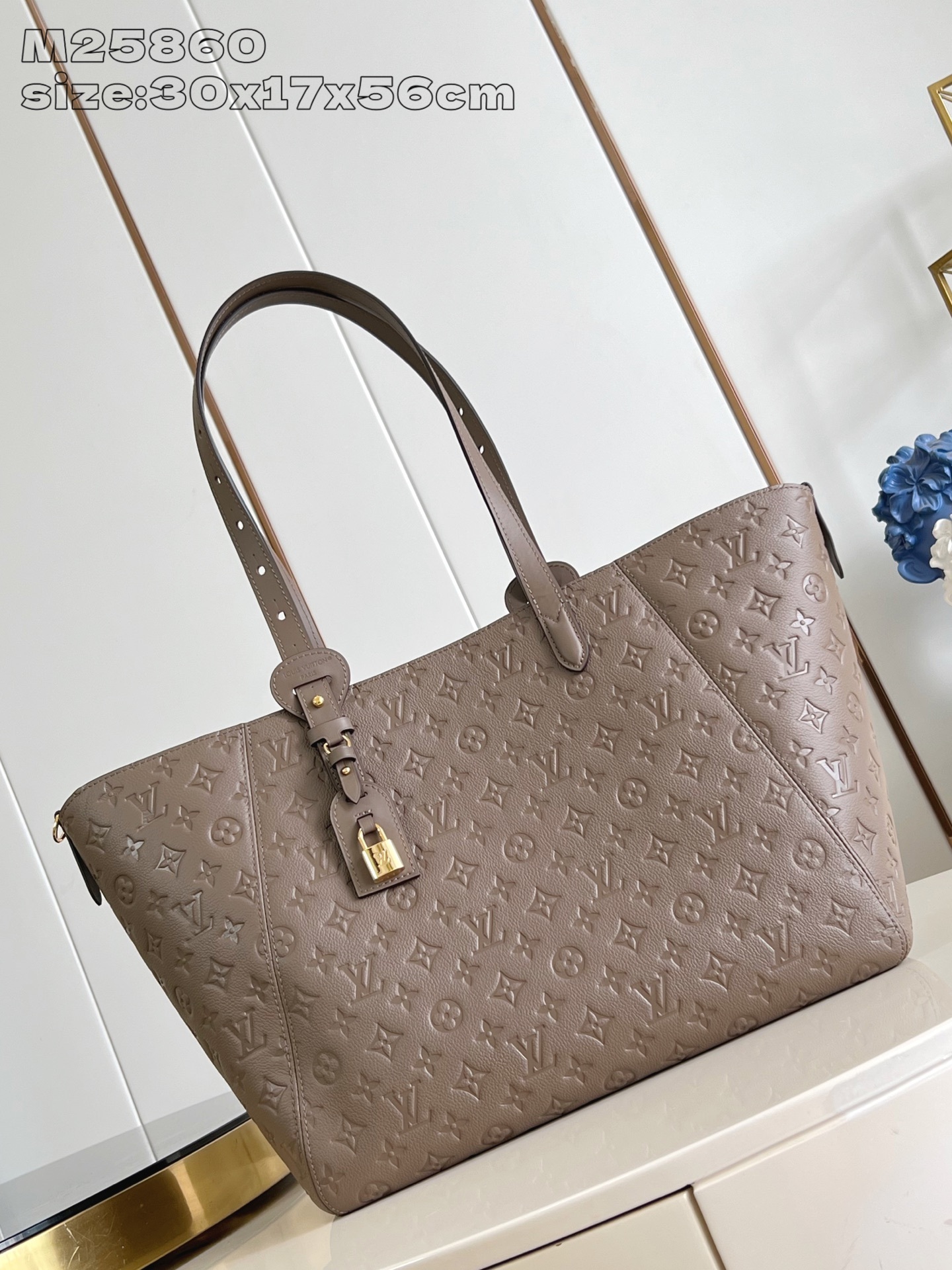Bolso All In One PM Louis Vuitton