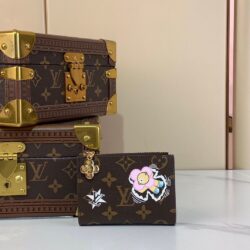 Cartera Lisa Louis Vuitton