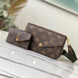 BOLSO FÉLICIE STRAP & GO Louis Vuitton