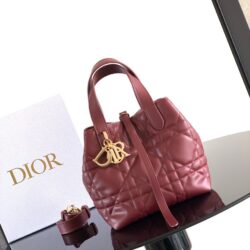 Bolso tote vertical pequeño Dior Toujours