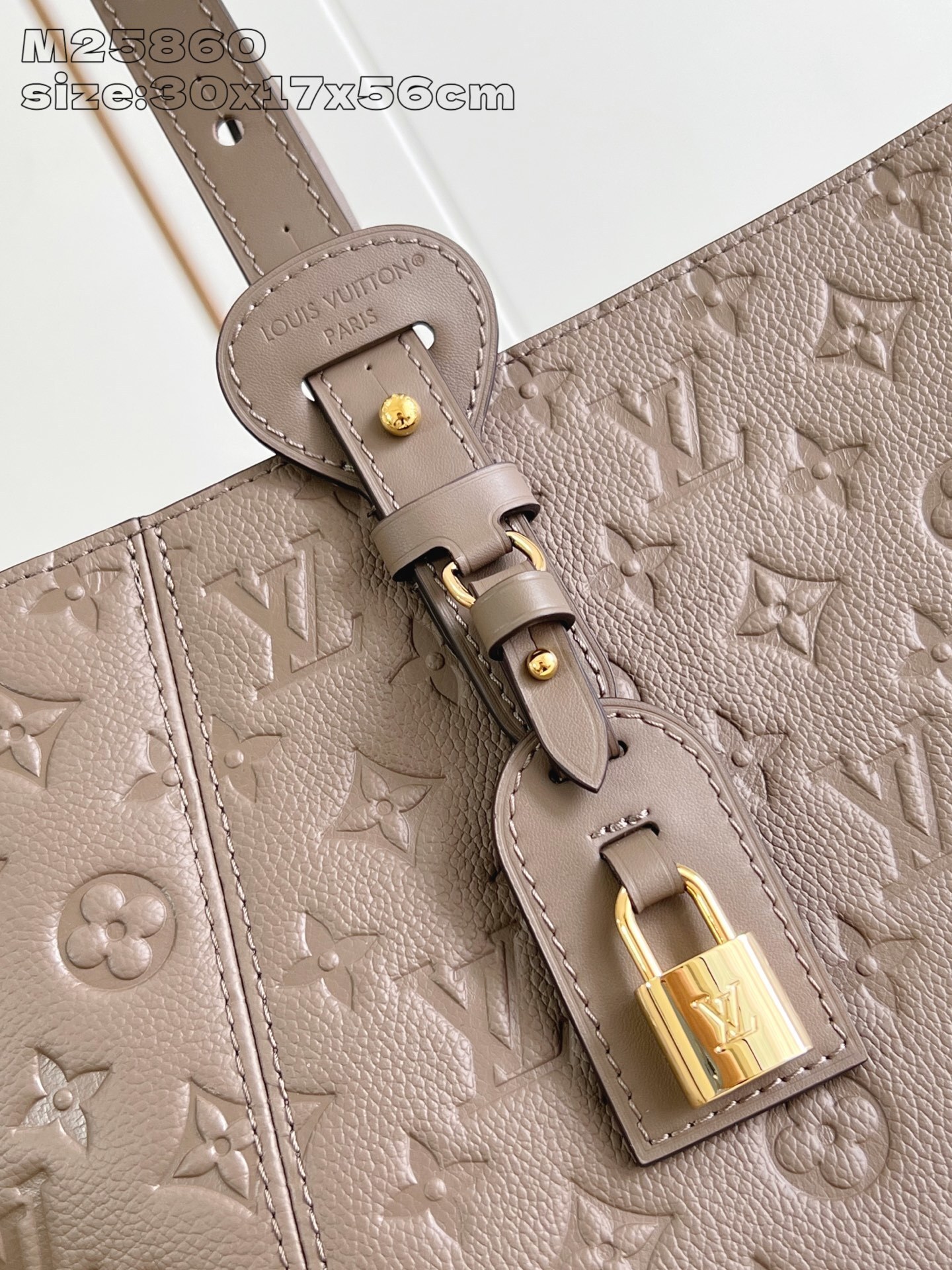 Bolso All In One PM Louis Vuitton - Imagen 6