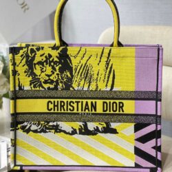 BOOK TOTE DIOR
