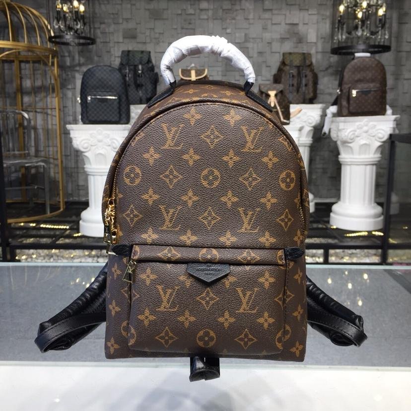 MOCHILA PALM SPRINGS PM Louis Vuitton
