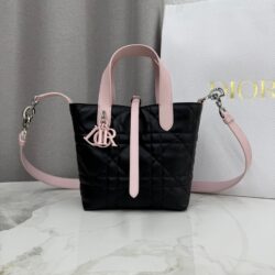 Bolso tote vertical pequeño Dior Toujours