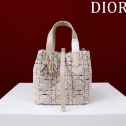 Nanobolso tote vertical Dior Toujours