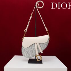 Bolso Saddle con bandolera Dior
