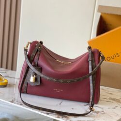 Bolso Express MM Louis Vuitton