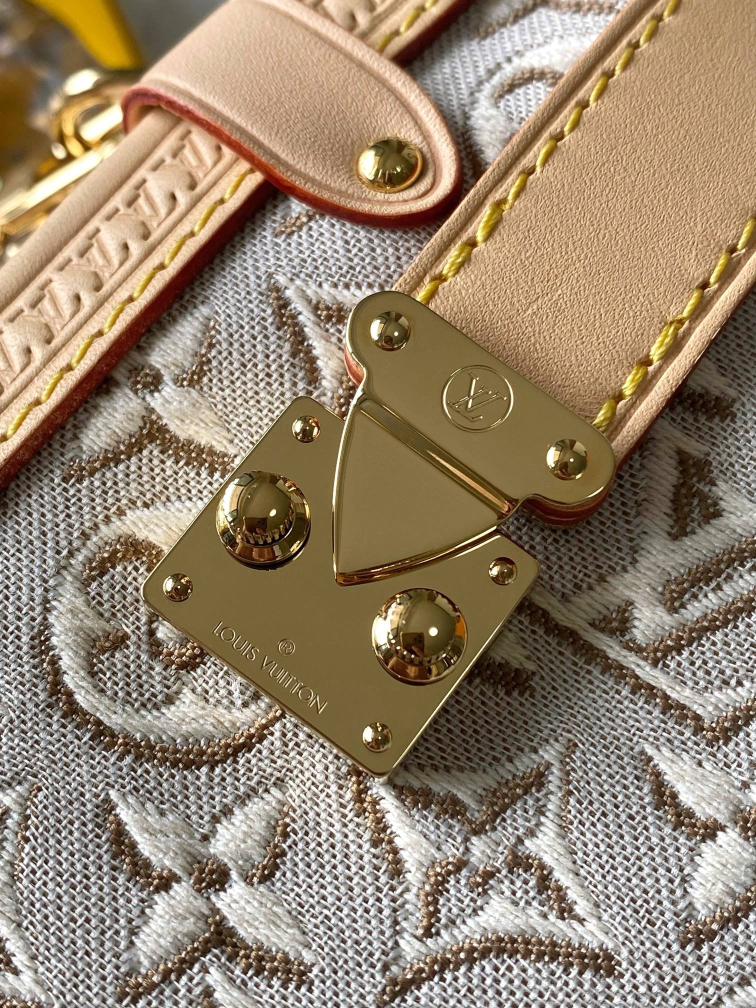 Bolso Side Trunk MM Louis Vuitton - Imagen 7