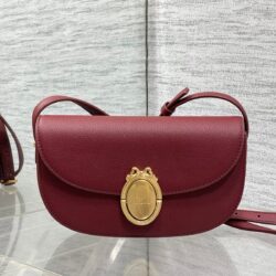 Bolso pequeño Dior Médaillon con solapa