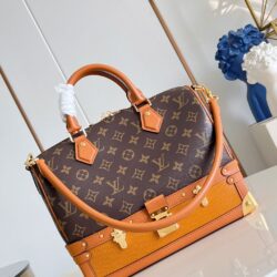 Bolso Speedy 30 con bandolera Louis Vuitton