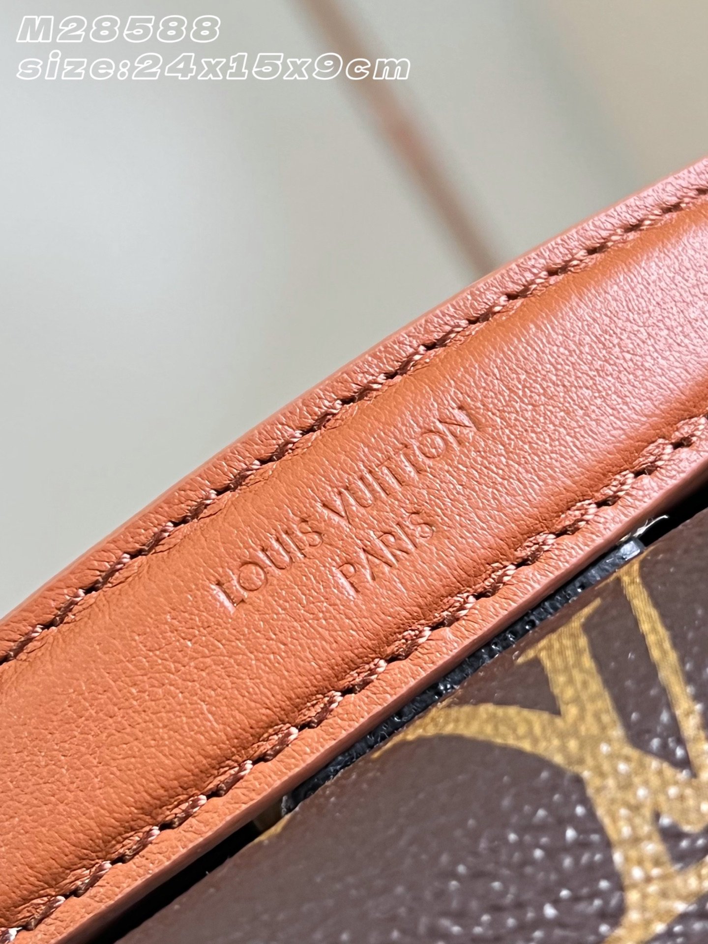 Bolso Madeleine BB Louis Vuitton - Imagen 7