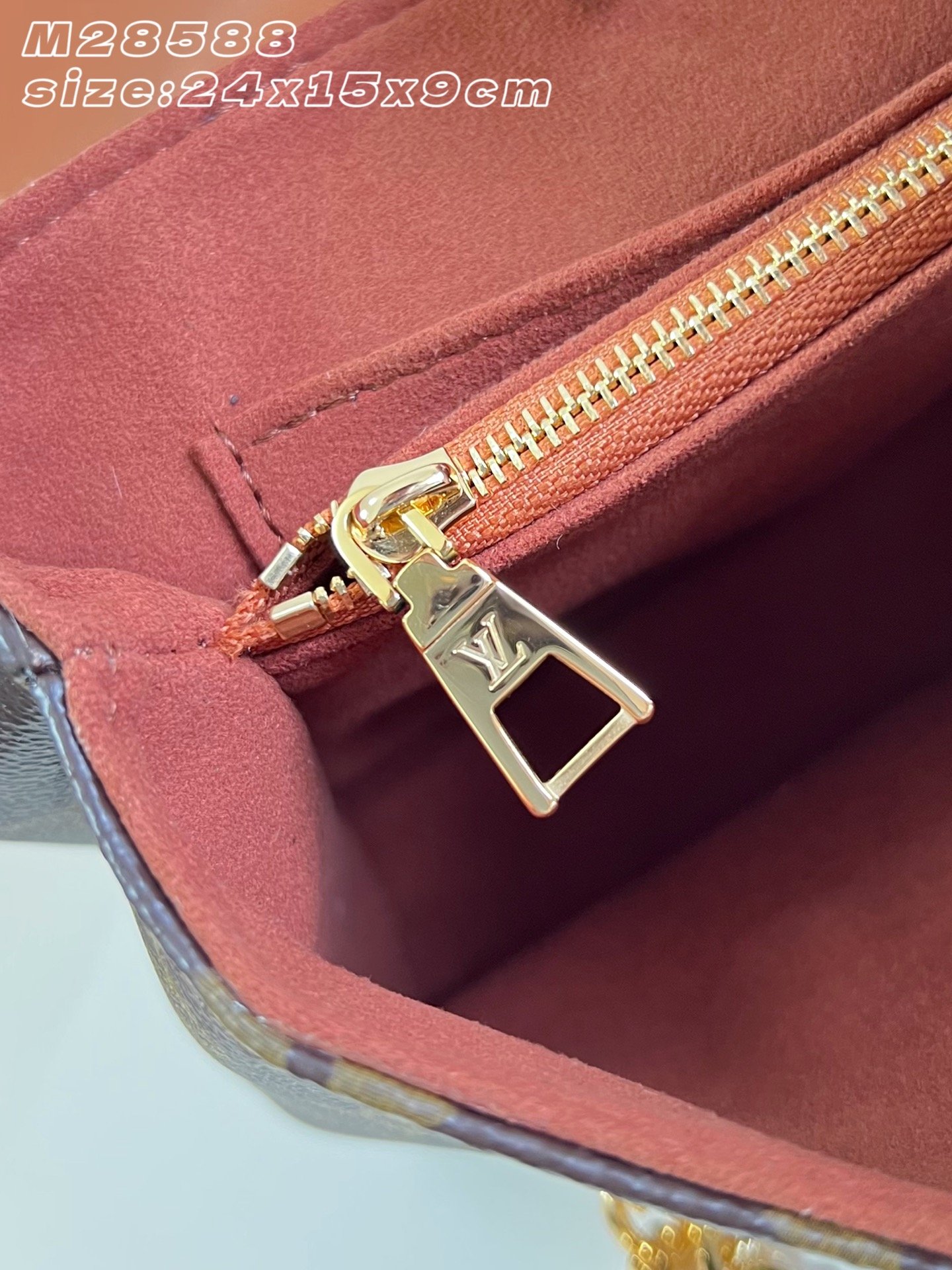 Bolso Madeleine BB Louis Vuitton - Imagen 9