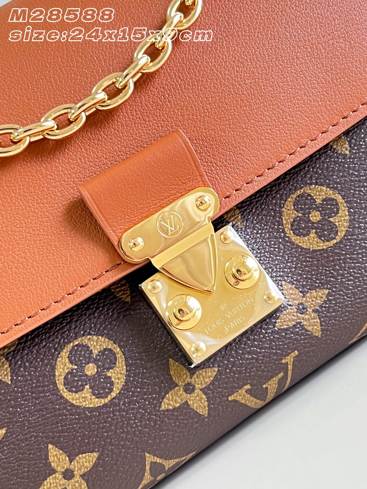 Bolso Madeleine BB Louis Vuitton - Imagen 6