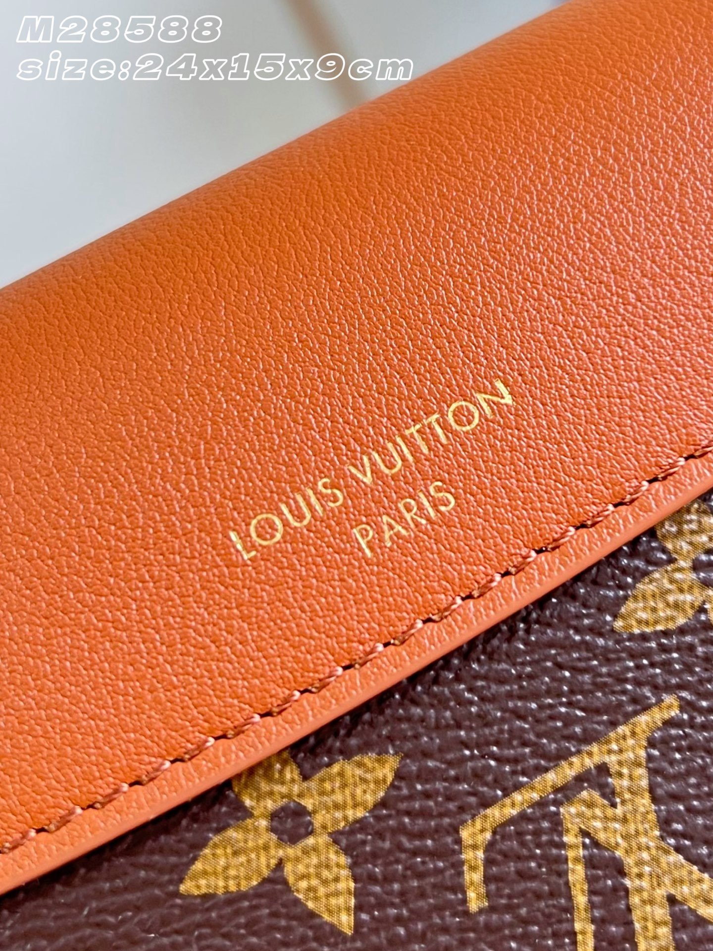 Bolso Madeleine BB Louis Vuitton - Imagen 4