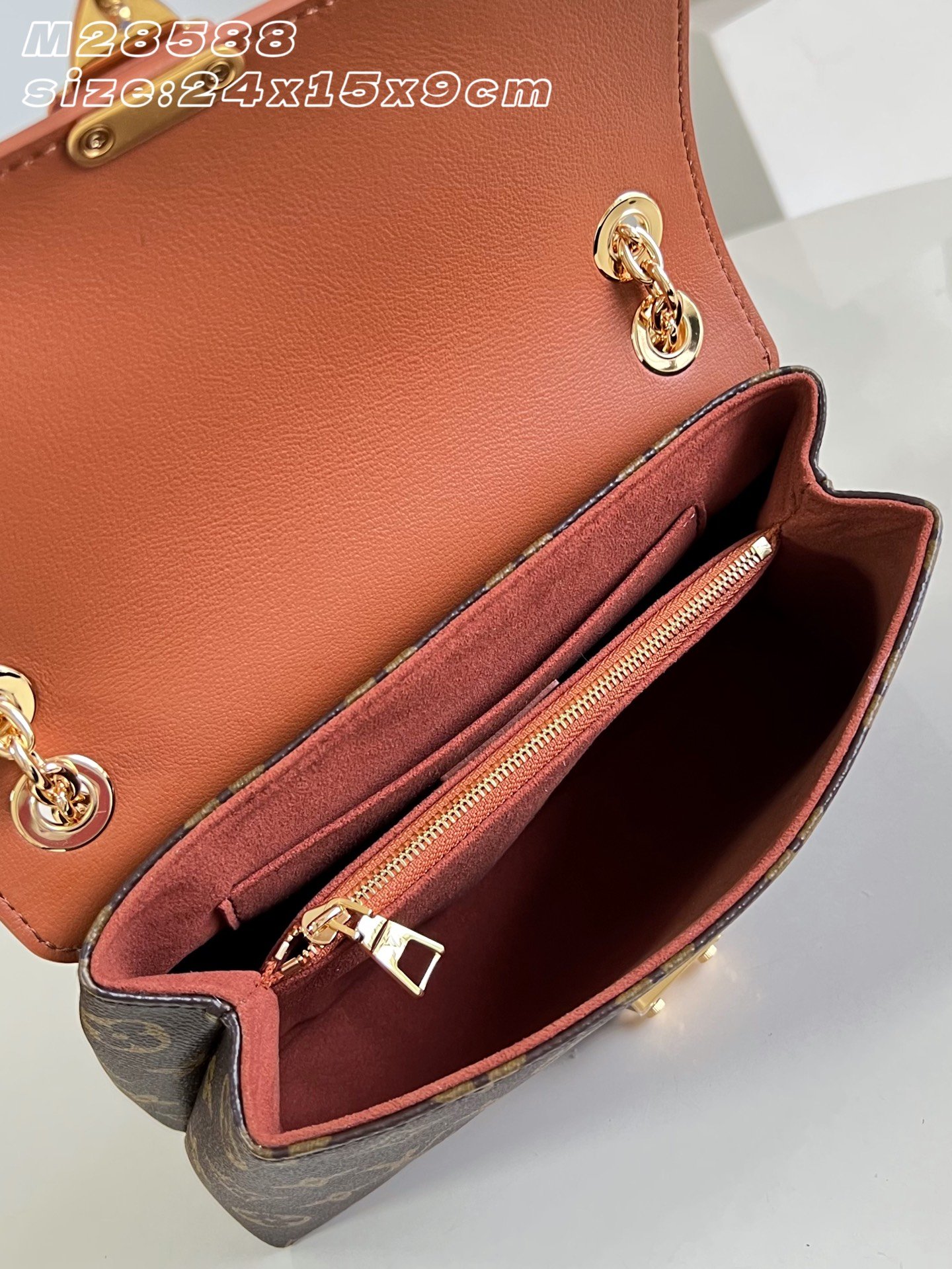 Bolso Madeleine BB Louis Vuitton - Imagen 11