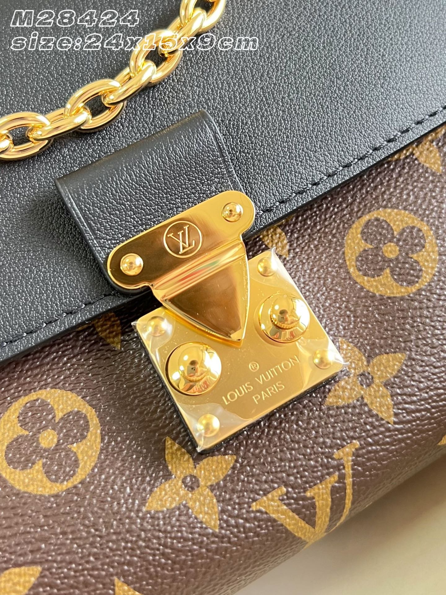 Bolso Madeleine BB Louis Vuitton - Imagen 8