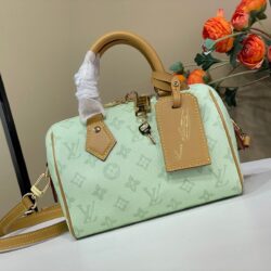 Bolso Speedy 20 con bandolera Louis Vuitton