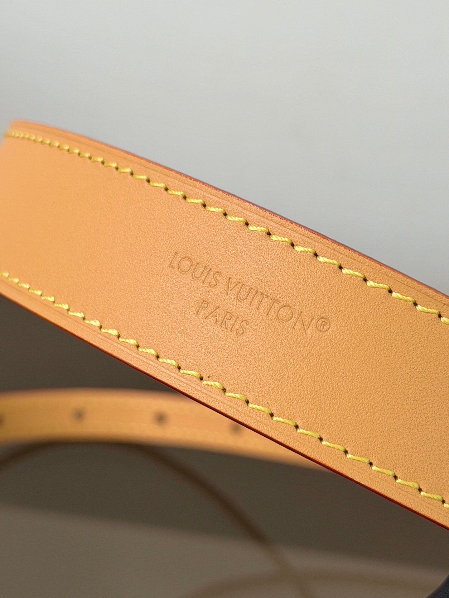 Bolso Nano CarryAll Louis Vuitton - Imagen 8