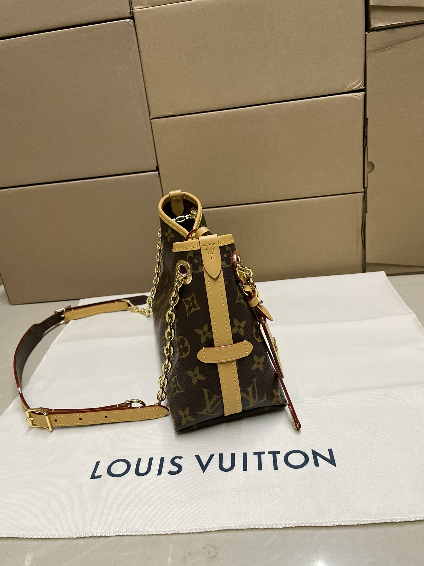 Bolso CarryAll BB Louis Vuitton - Imagen 3