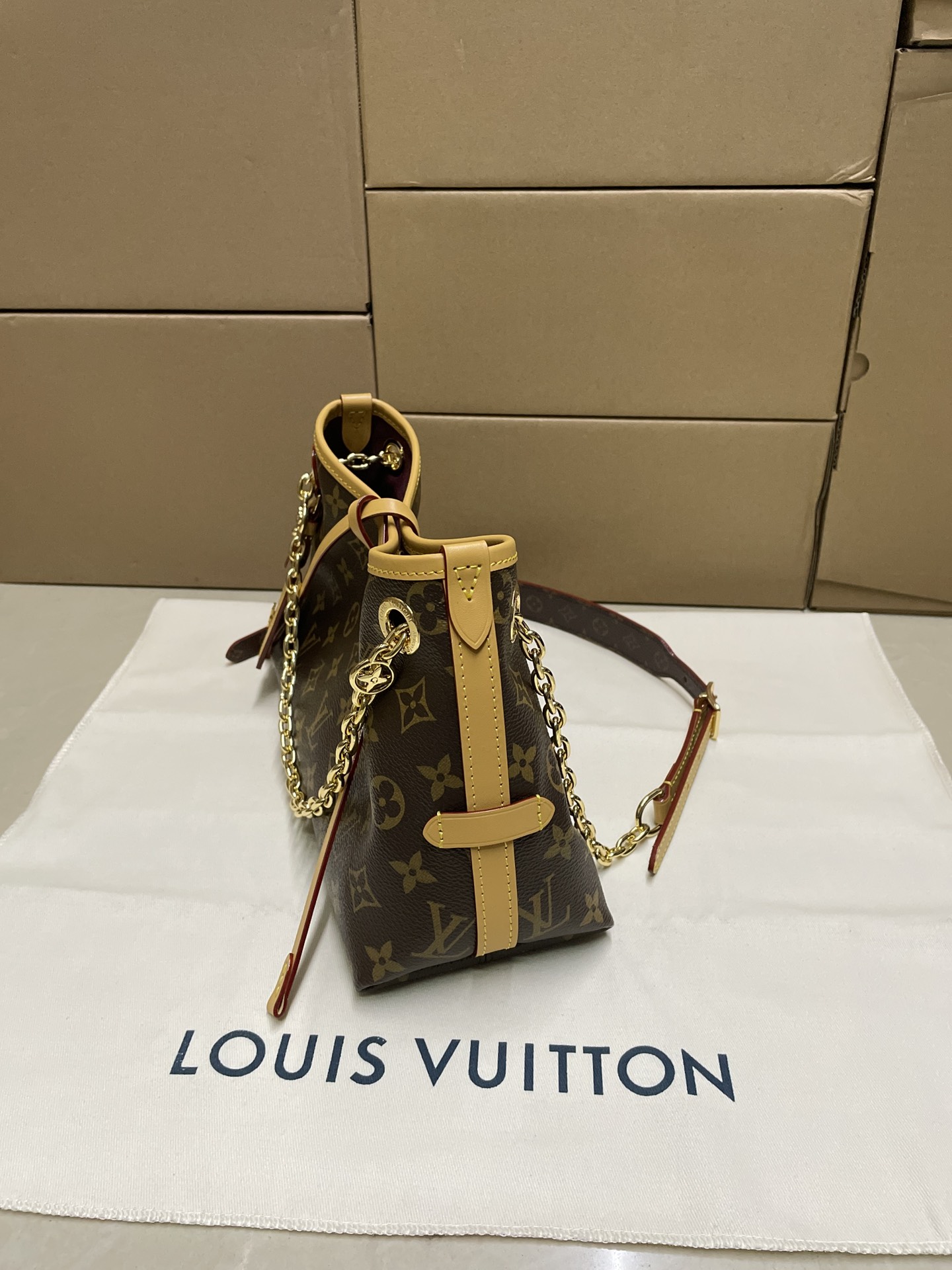 Bolso CarryAll BB Louis Vuitton - Imagen 5